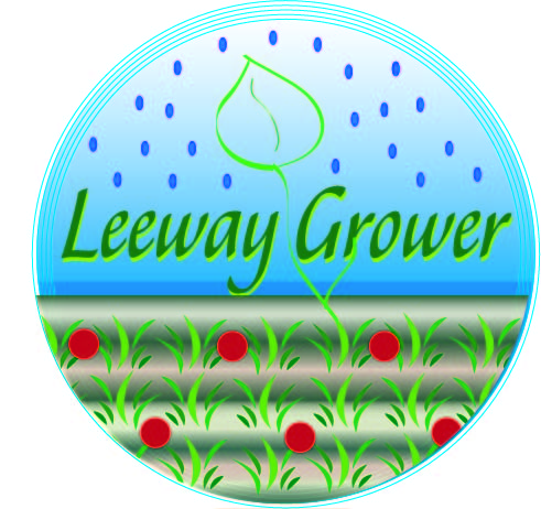 Design de Logo par LogoPro pour ce projet | Design #5726878