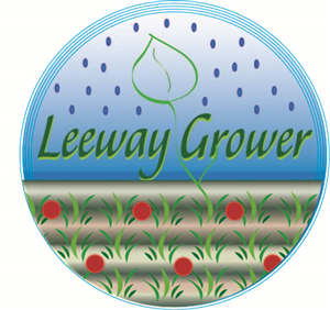 Logo Design by LogoPro for this project | Design #5726878
