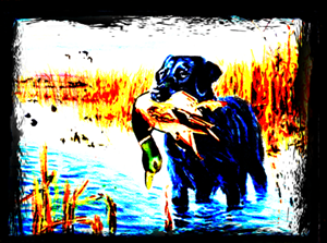 Red Leg Waterfowl (a Waterfowl hunting company) needs an AWESOME T-shirt Design