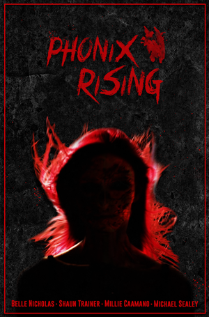 Poster Design by woodendesigner18