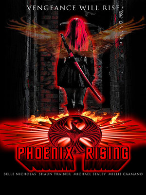 Poster Design by Hellsing1313