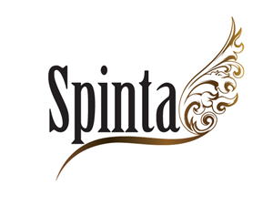 Logo Design by Willow Graphics