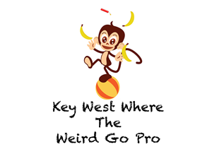Logo Design by MP Designs