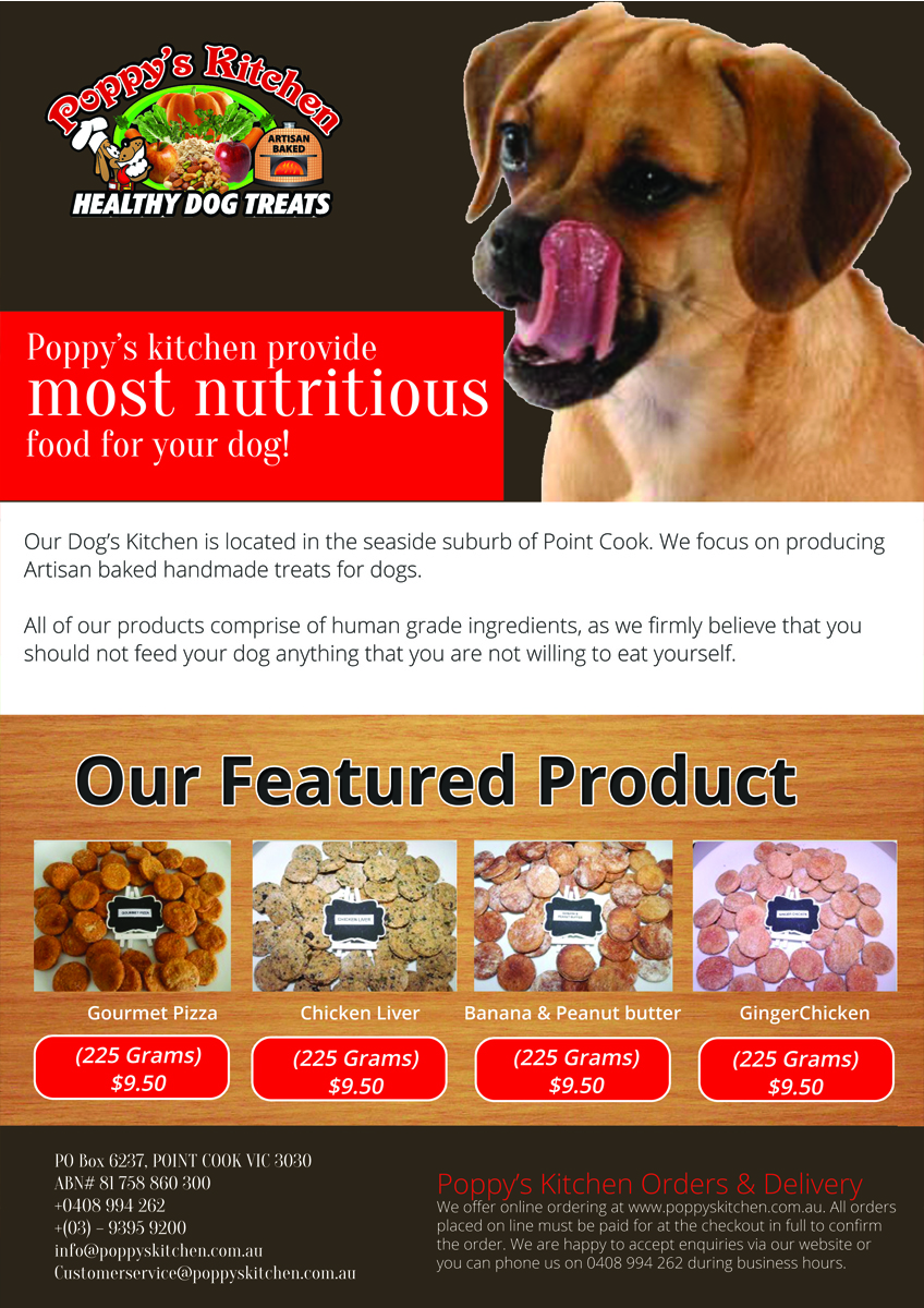 Flyer Design by roopaljain for this project | Design #5730382