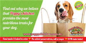 Flyer Design by kattis