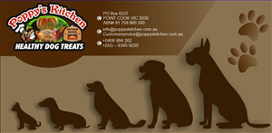 Flyer Design by krokodila for this project | Design: #5759698