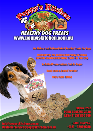 Flyer Design by Styling Your Creative World