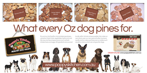 Flyer Design by Wordsmith at Large