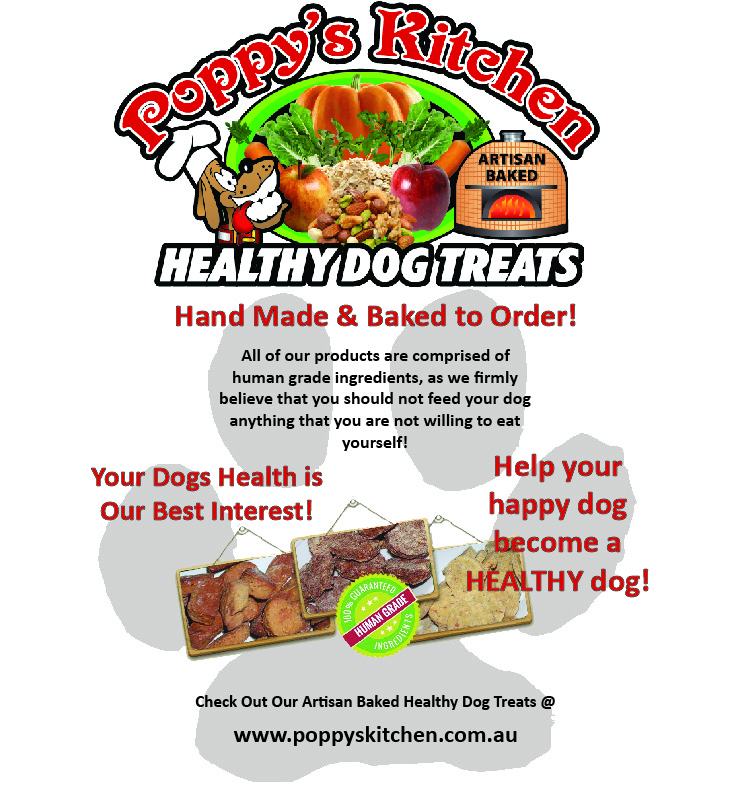 Flyer Design by kelsie.smith21 for this project | Design #5725342