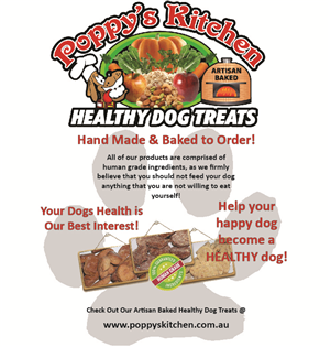 Flyer Design by kelsie.smith21 for this project | Design: #5725342