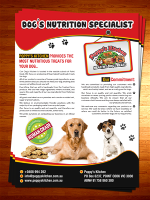 Flyer Design by ESolz Technologies