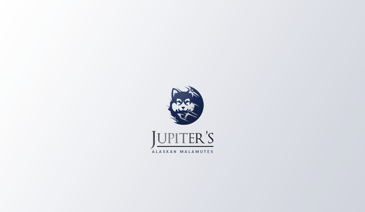 Design de Logo par Seamus Radu pour Jupiter''s Alaskan Malamutes | Design #5746027