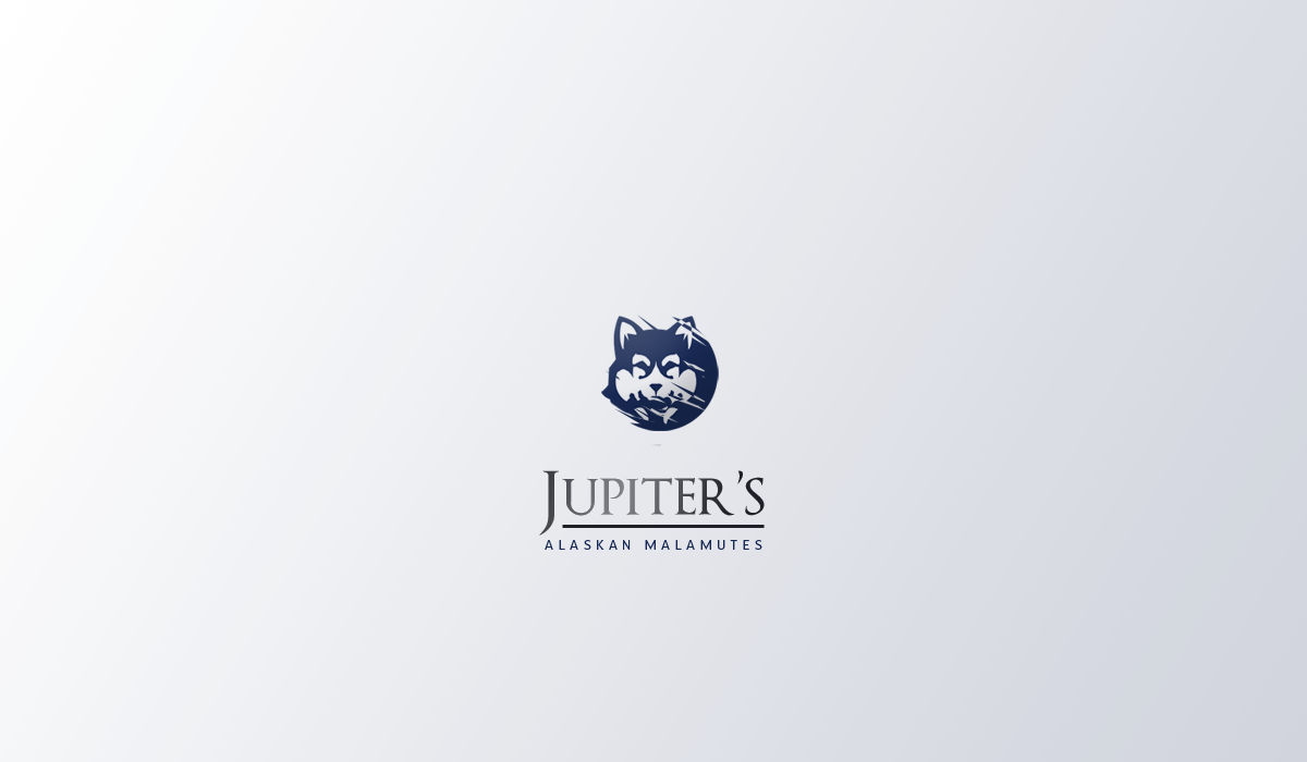 Design de Logo par Seamus Radu pour Jupiter''s Alaskan Malamutes | Design #5746028