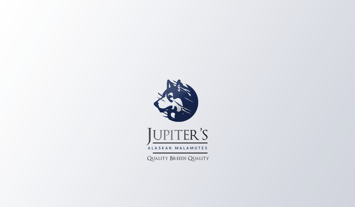 Diseño de Logo por Seamus Radu para Jupiter''s Alaskan Malamutes | Diseño #5753712