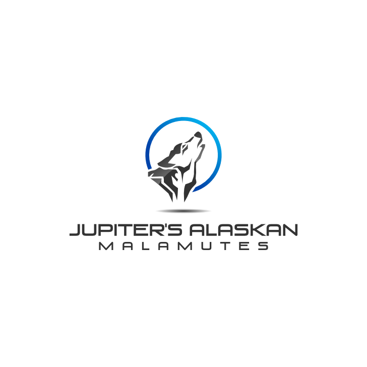 Logo-Design von satria.09horizon für Jupiter''s Alaskan Malamutes | Design: #5746699