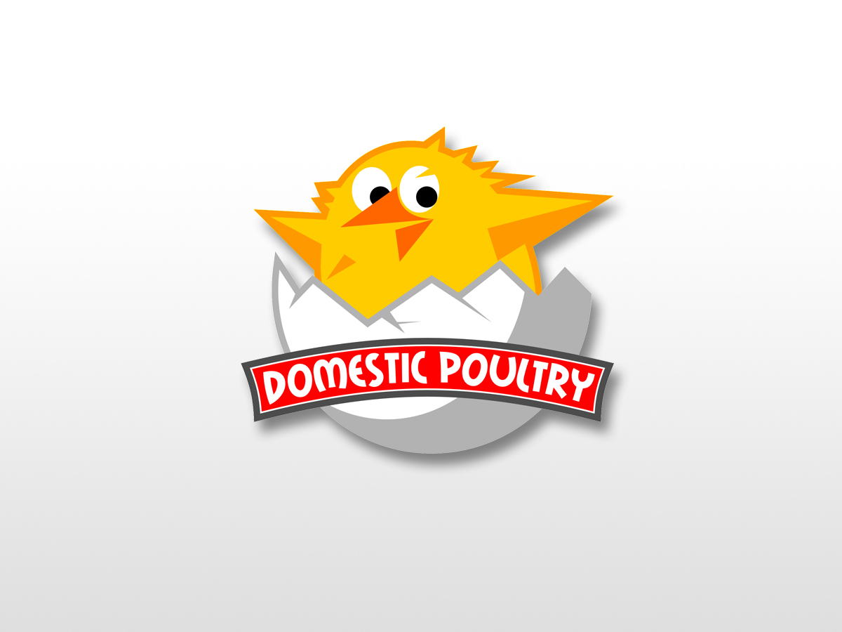 Logo Design by vladst2004 for Domestic Poultry | Design #1562131