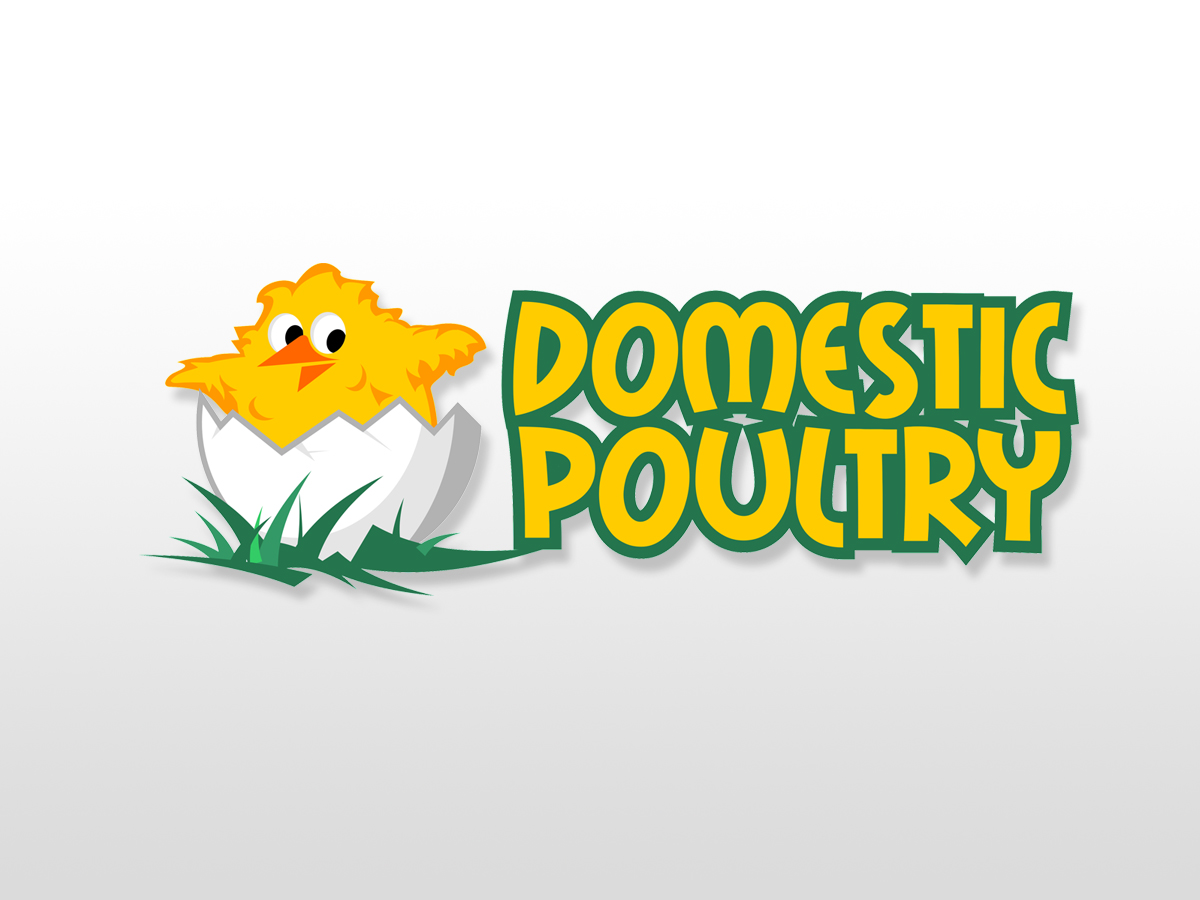 Logo Design by vladst2004 for Domestic Poultry | Design #1566064