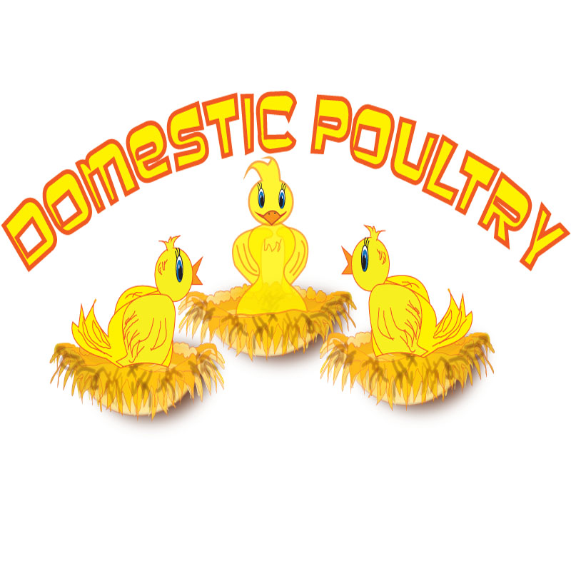Logo Design by ktgrandy for Domestic Poultry | Design #1568557