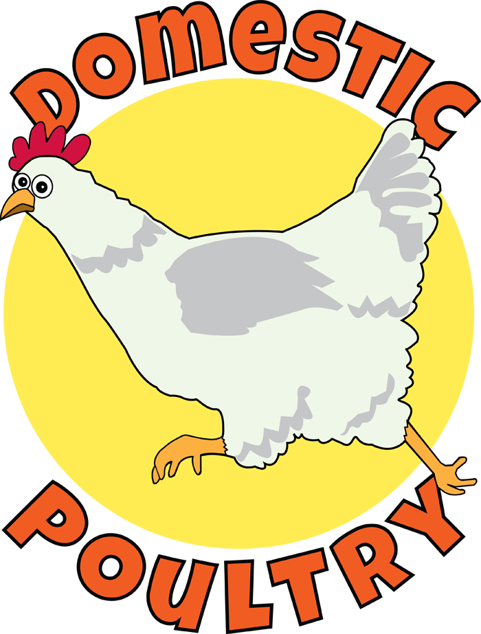 Logo Design by Howell Designs for Domestic Poultry | Design #1577040