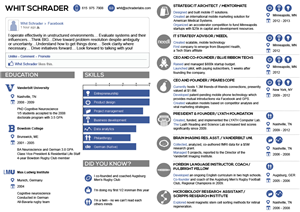 Infographic my CV