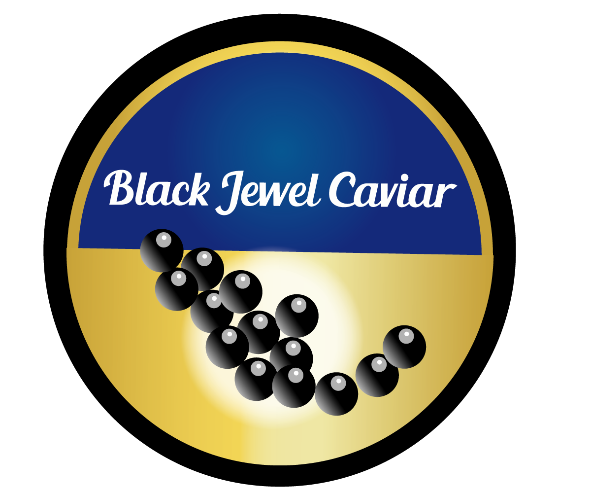 Logo Design by sukan for this project | Design #5730827