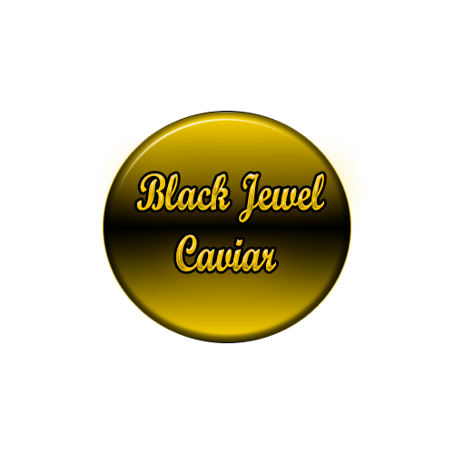 Logo Design by AnaMatic for this project | Design #5787569