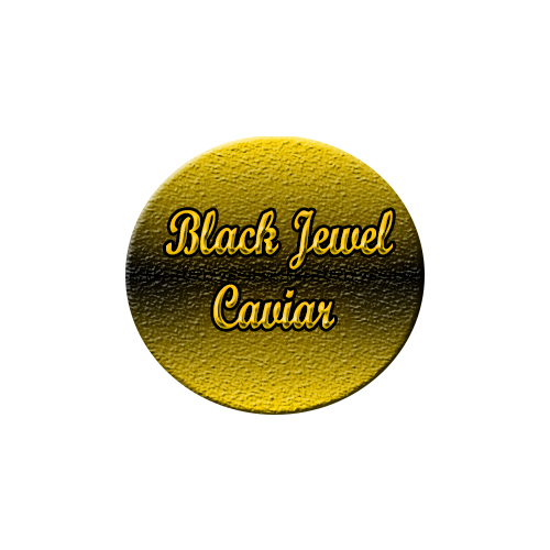 Logo Design by AnaMatic for this project | Design #5787571