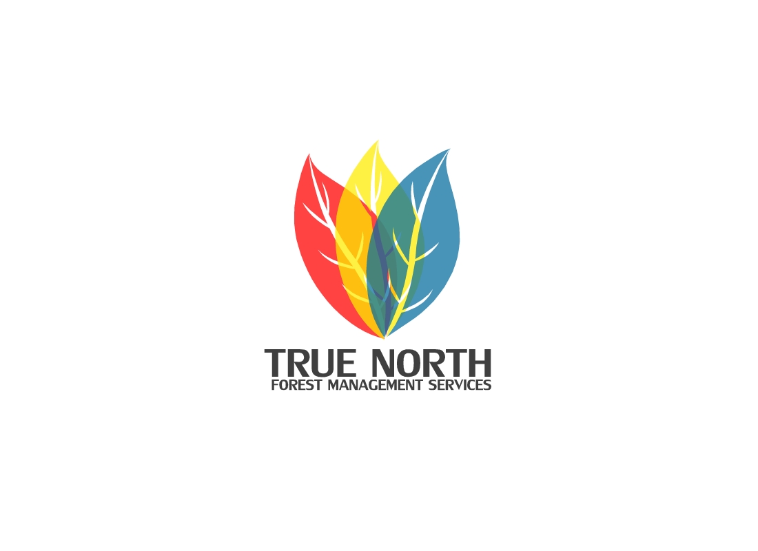 Diseño de Logo por cocodesign para este proyecto | Diseño #5784800