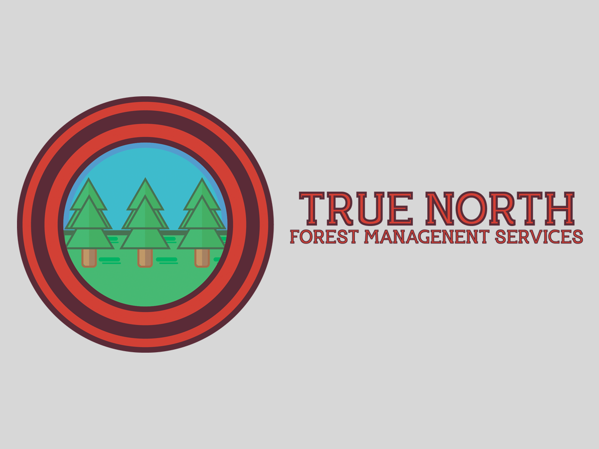 Logo Design by KeeganT for this project | Design #5725592