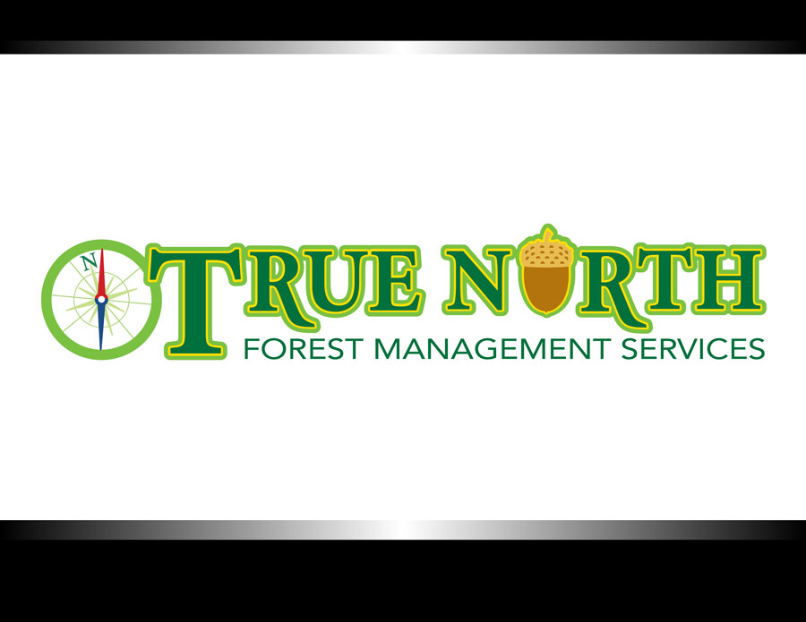 Diseño de Logo por Patrick Tero para este proyecto | Diseño: #5789316