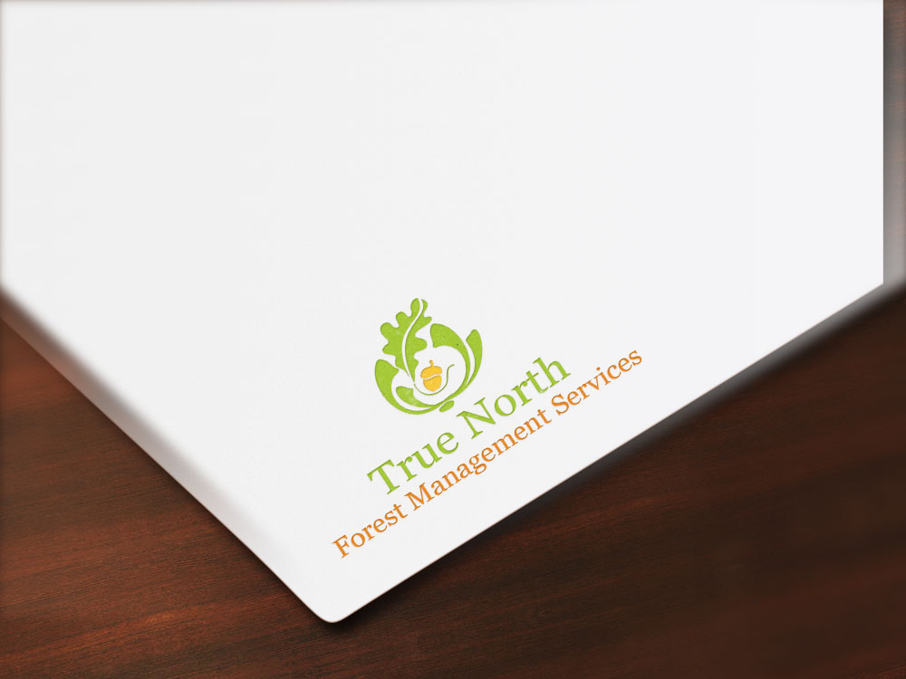 Diseño de Logo por Shashka designs para este proyecto | Diseño #5796217
