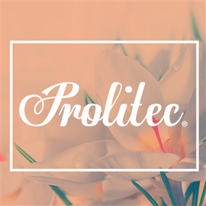 Logo Design by Anyerber