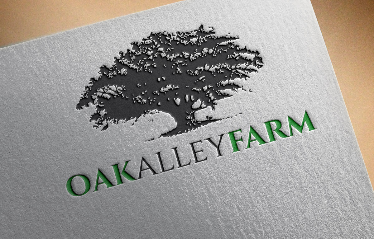 Logo Design by Creativdiz for this project | Design #5724326