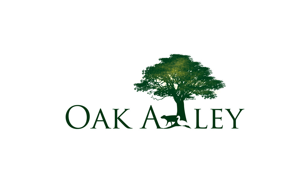 Logo Design by anushka_snigdha for this project | Design #5737282