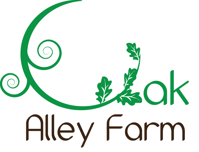Logo Design by tharindu127 for this project | Design #5736804