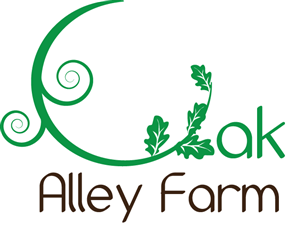 Logo Design by tharindu127