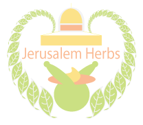 Logo Design by ENOCK MARVELL MALINDA