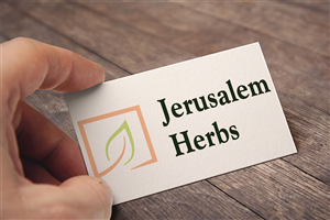 Logo Design by qato.albi