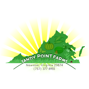 Logo Design by raographics