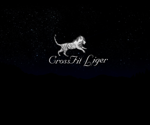 Logo-Design von waleed für CrossFit Hardcore | Design #5799872