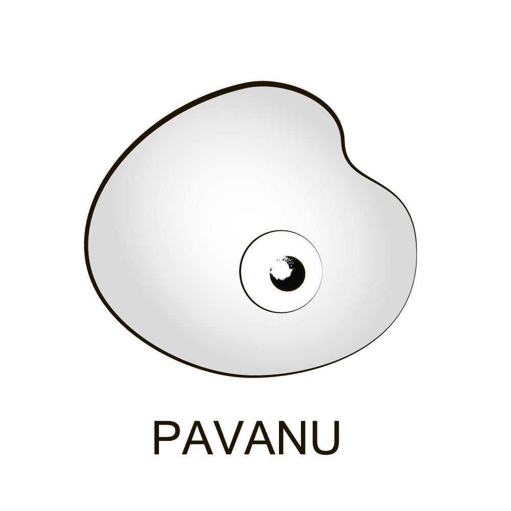 Logo Design by Mushroom with eyes for this project | Design #5752643