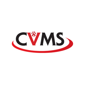 Logo Design by Himanshi10