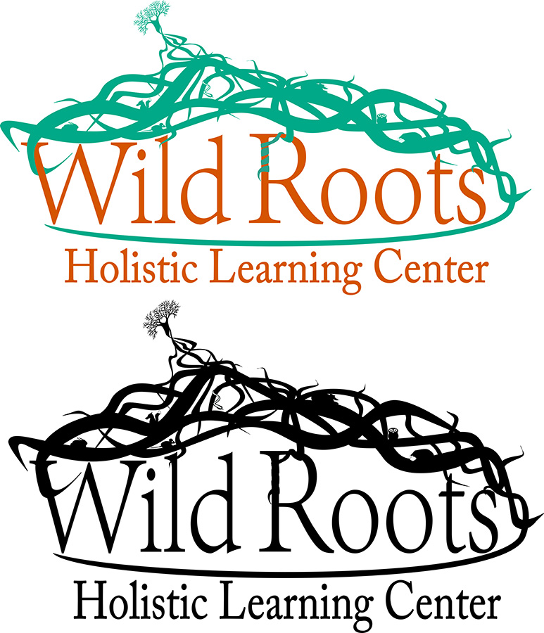 Logo Design by AZ for Slate Storm | Design #5734314