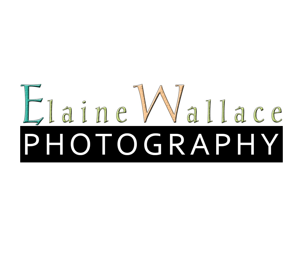 Logo-Design von Byron Olson-Stine für dieses Projekt | Design #5801418