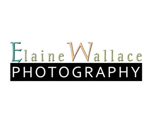 Logo-Design von Byron Olson-Stine für dieses Projekt | Design: #5801418