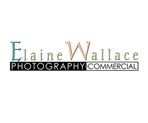 Logo-Design von Byron Olson-Stine für dieses Projekt | Design: #5801570