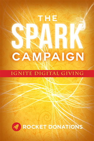 eBook Cover Design by artistraman for this project | Design: #5739276