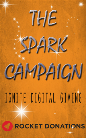 eBook Cover Design by veena16 for this project | Design: #5742716