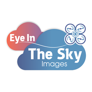 Logo Design by williamredmond864 for this project | Design: #5769553