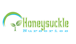 Logo Design by JayJay143